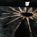 덕동달구지펜션 이미지