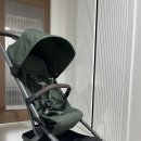 그린에어 | 내돈내산_휴대용 유모차 줄즈 에어2 포레스트 그린 구매후기