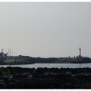 해녀촌 - 광산구 | 해녀촌