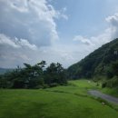 도그센추리 이미지