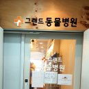 그랜드동물병원 이미지