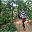 내곡동482 이미지