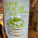 고바우펜션 이미지