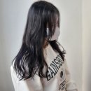산수살롱