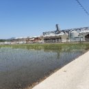 선원면-6 이미지