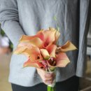 (주)호텔인터불고 원주 이미지