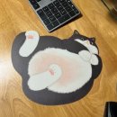 내강아지&내야옹이 | 선유도역 핫플 선유야옹이마켓 후기｜고양이 굿즈·캣닢볼·펫타로까지