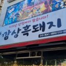깜상흑돼지