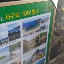 아비숑 이미지