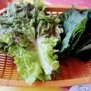 학리초장 이미지