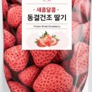 굳드림 네이버블로그