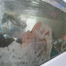 노아수산 네이버블로그
