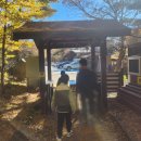 한라산 선작지왓 | 제주도 가볼 만한 곳 등산 초보가 등산하는 한라산 영실 탐방로 코스