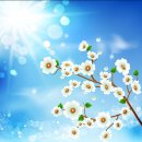 주식회사 대금 이미지