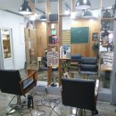 헤어도도 이미지