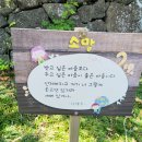 재릉초등학교 이미지