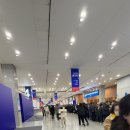 광클치킨 | 2025 킨텍스 광클콘서트 후기