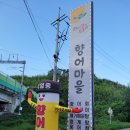 향어마을 이미지