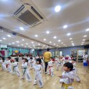 연세 휘트니스 태권도 이미지