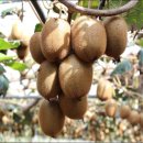 진환농장 이미지