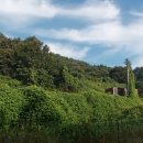 박산농장 이미지