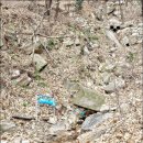 수인사유치원 | (13번째) 김해 경운산 수인사를 품은 등산코스(수인사→정상)