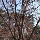 1코스 입구 이미지