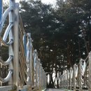 장풍숲입구 이미지