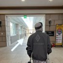 [용평 스키장 숙소 추전] 타워콘도 후기 :: 슬로프까지 걸어가는 법