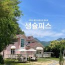 생슐피스 이미지