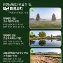 (익산여행) 인생샷보다 중요한 것, 익산 미륵사지에서 깨달은 진정한 여행의 태도