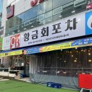 황금포차 | 광주 동천동 맛집 황금회포차 방문 후기