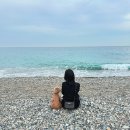 봉길리 | [경주 문무대왕릉] 애견동반 카페 추천｜봉길리카페 방문 후기