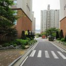 호평로9 Daum카페