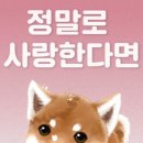 현리동물병원 네이버블로그