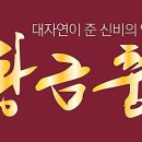 (주)레프코리아 이미지