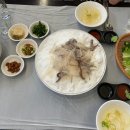 태평양산오징어