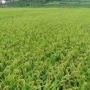 순흥농장 이미지