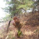 숲중앙어린이집 이미지