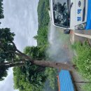 기동반-23 이미지