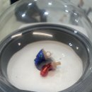 수원-1375 이미지