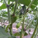 정림농장 이미지