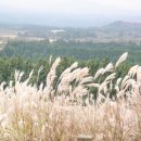 제주스카이캐슬풀빌라 이미지