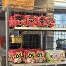 구워,삶다. | 경기도 수원 조개구이 굴 무한리필 무한조개북수원점 내돈내산 후기