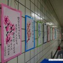 녹원어린이집 이미지