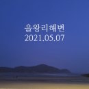 해변가횟집