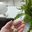 영어조합법인 동해안푸드 이미지