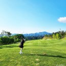 ⛳ 홍천 샤인데일CC 골프 라운드 후기