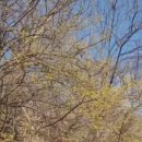 더드림팜 이미지