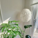 밀키스테이 이미지